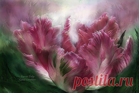 Parrot Tulip Mixed Media by Carol Cavalaris - Parrot Tulip Fine Art Prints and Posters for Sale