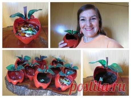 MANZANAS EN BOTELLA PET