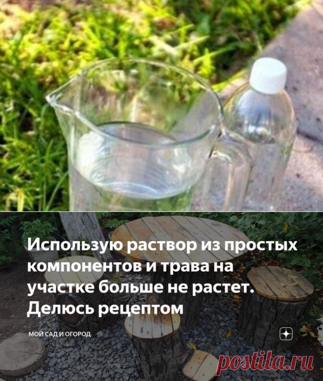 Использую раствор из простых компонентов и трава на участке больше не растет. Делюсь рецептом | Мой сад и огород | Яндекс Дзен