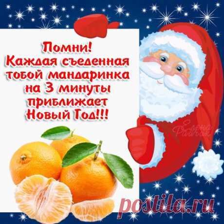 Цитата Деда Мороза!