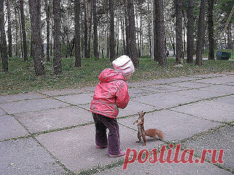 Эти забавные животные!
Маргарита Сабинина (Шкрябенкова)