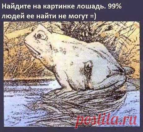 Найдите лошадь..... головоломка