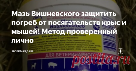Мазь Вишневского защитить погреб от посягательств крыс и мышей! Метод проверенный лично В последние годы в новостях часто стали писать об ужасных отравлениях людей, причиной которых являются инфекции распространяемые грызунами. Как объясняют специалисты, мышам и крысам можно просто пробежать по продуктам и тогда они в миг становятся губительными для человека. Здесь-то и встает вопрос, о защите погреба от опасной перспективы.
Многие дачники раскладывают ловушки с отравой, но ведь чтоб