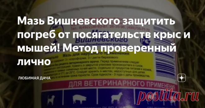 Мазь Вишневского защитить погреб от посягательств крыс и мышей! Метод проверенный лично В последние годы в новостях часто стали писать об ужасных отравлениях людей, причиной которых являются инфекции распространяемые грызунами. Как объясняют специалисты, мышам и крысам можно просто пробежать по продуктам и тогда они в миг становятся губительными для человека. Здесь-то и встает вопрос, о защите погреба от опасной перспективы.
Многие дачники раскладывают ловушки с отравой, но ведь чтоб