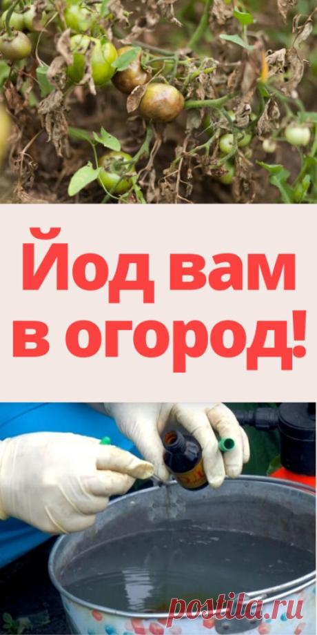 Йод вам в огород! - My izumrud
