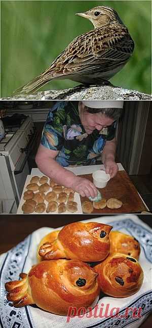 Жаворонки прилетели