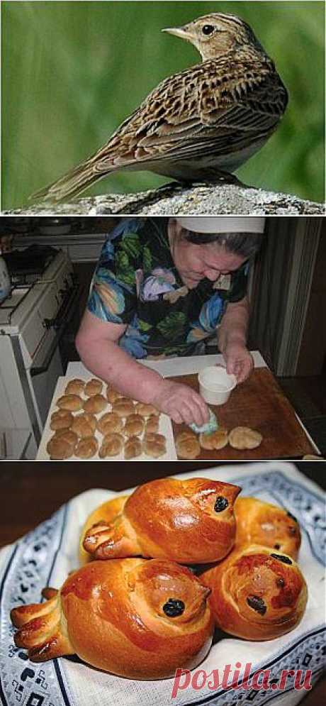 Жаворонки прилетели