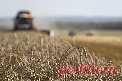 Названы перспективы возобновления зерновой сделки в ближайшее время. Прогресс в переговорах по возобновлению зерновой сделки в ближайшее время остается маловероятным, однако Турция и ООН работают над этим. Такими перспективами поделился дипломатический источник в Анкаре. По его словам, «переговорный процесс сложный из-за принципиальных позиций сторон».