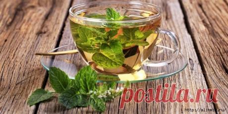 Как правильно употреблять мятный чай, чтобы избавиться от болячек