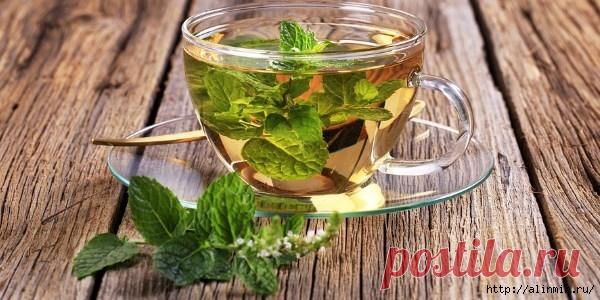 Как правильно употреблять мятный чай, чтобы избавиться от болячек