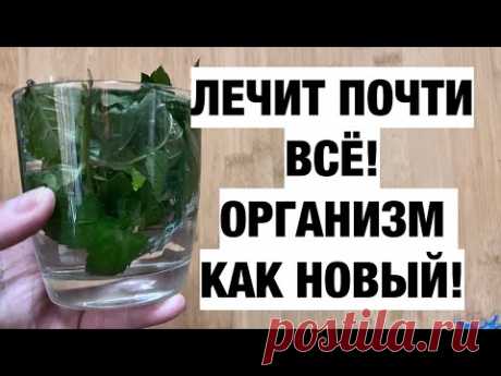 САХАР РУХНУЛ! МОНГОЛЫ НЕ БОЛЕЮТ! А ВОТ ПОЧЕМУ, ВСЕГО ОДИН СТАКАН СПОСОБЕН.....
