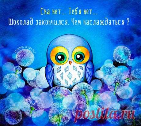 совушки картинки: 14 тыс изображений найдено в Яндекс.Картинках