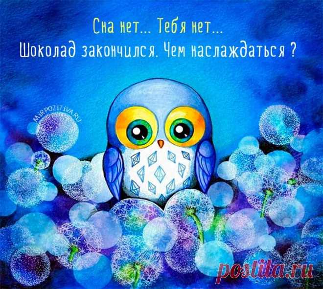 совушки картинки: 14 тыс изображений найдено в Яндекс.Картинках