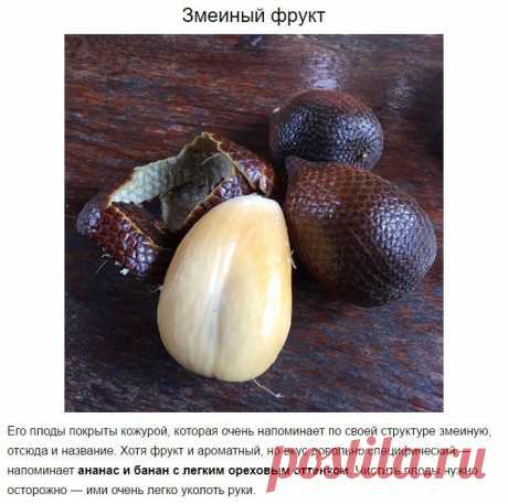 Мой Мир@Mail.Ru