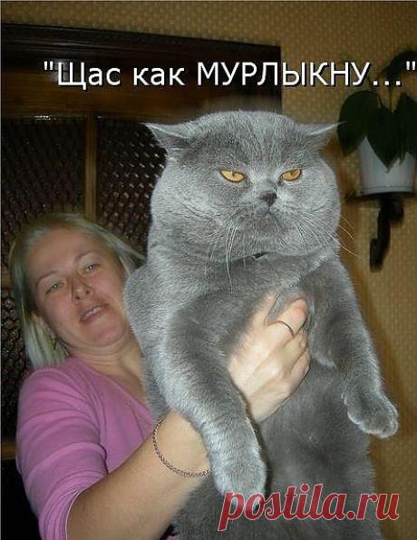 И её снесет))