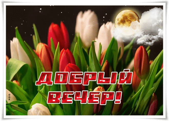Картинка добрый вечер с чудесным букетом тюльпанов