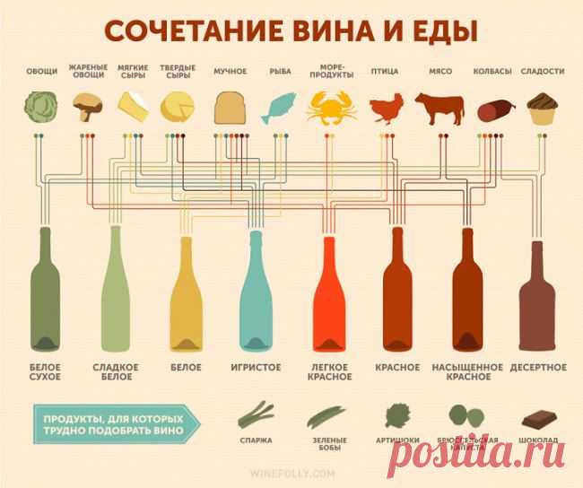 Как правильно сочетать вино и еду