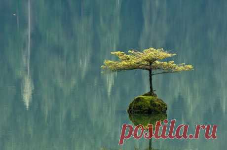 Канада, остров вблизи Порта Ренфрю