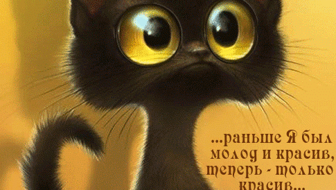 vasiliy kuimov – О себе – Google+