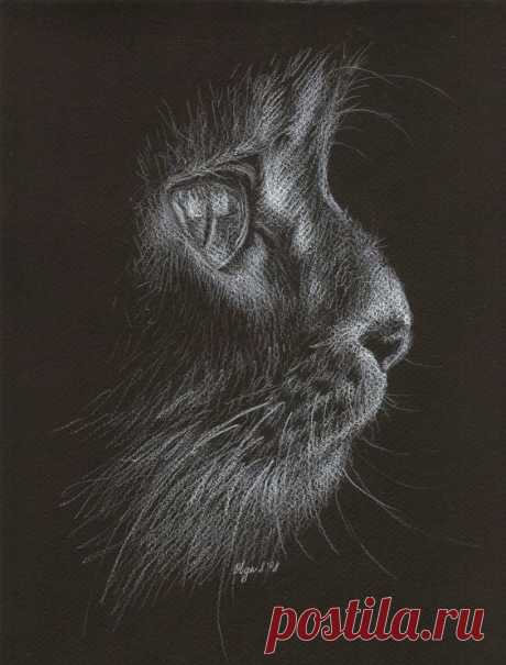 (35) Pinterest