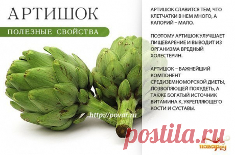 Как правильно собирать артишоки | Flohouse