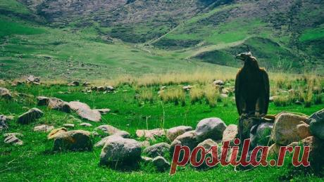 Пока на привязи.
Из альбома Нурбека Фрунзенского.