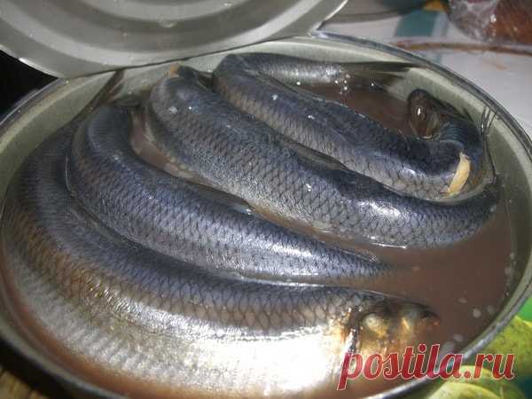 Уникальный способ почистить селедку: просто надави и получи филе