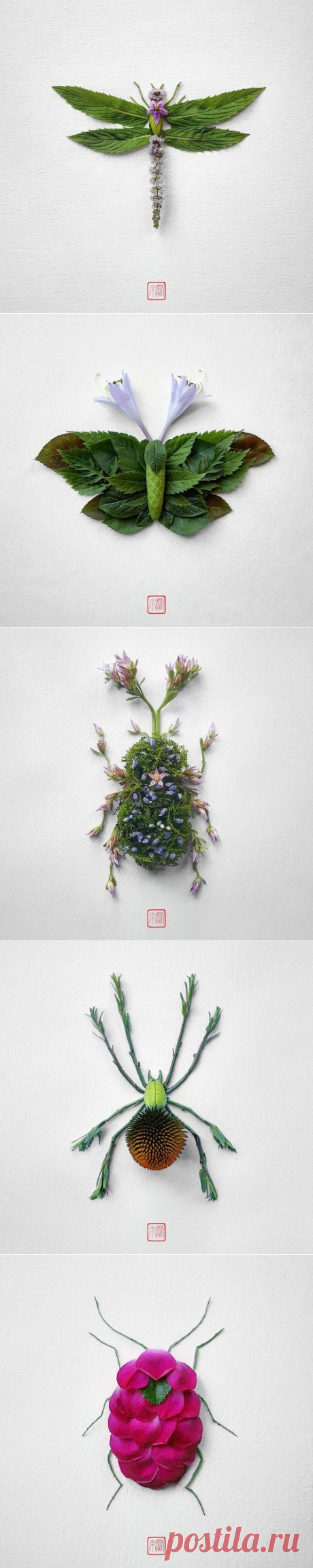 Насекомые, созданные из цветов от художника Раку Иноуэ