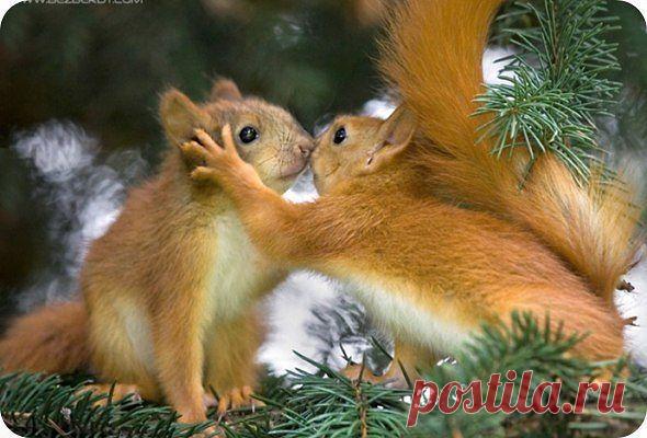 Мой Мир@Mail.Ru