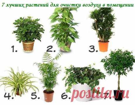 Мамам, женщинам, бабушкам и очень любознательным.