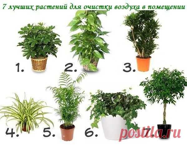 Мамам, женщинам, бабушкам и очень любознательным.