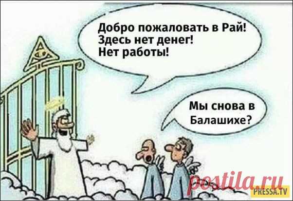 Смешные жизненные комиксы и карикатуры (21 фото) | Чёрт побери