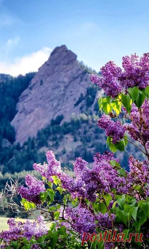 Nature Lover at Heart