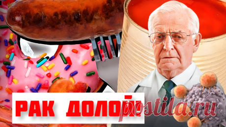 Рак долой! Онкологи знают, как все начинается и рассказали от чего следует отказатся, чтобы дать ему отпор | Игорь Ботоговский | Дзен