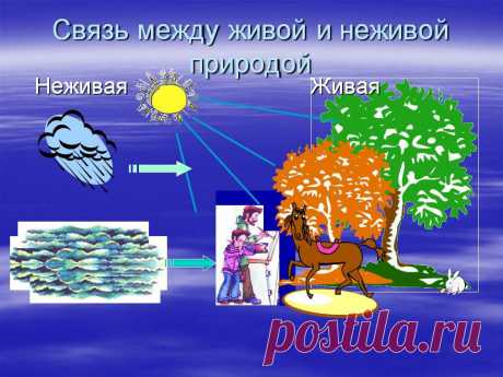 Под здоровьем нельзя разуметь одно только наружное благосостояние тела, а нужно понимать вообще естественное гармоническое развитие организма и правильное совершение всех его отправлений.

Николай Александрович Добролюбов
