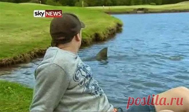 Австралия – смертельный континент | Глобус