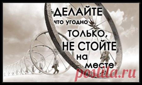 шевеление - это жизнь....