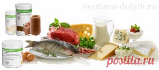 Белковые продукты на диете Гербалайф — это самый лучший способ избавиться от лишних килограммов. Благодаря этой диете у нас уходит подкожный жир, а не мышечная масса.