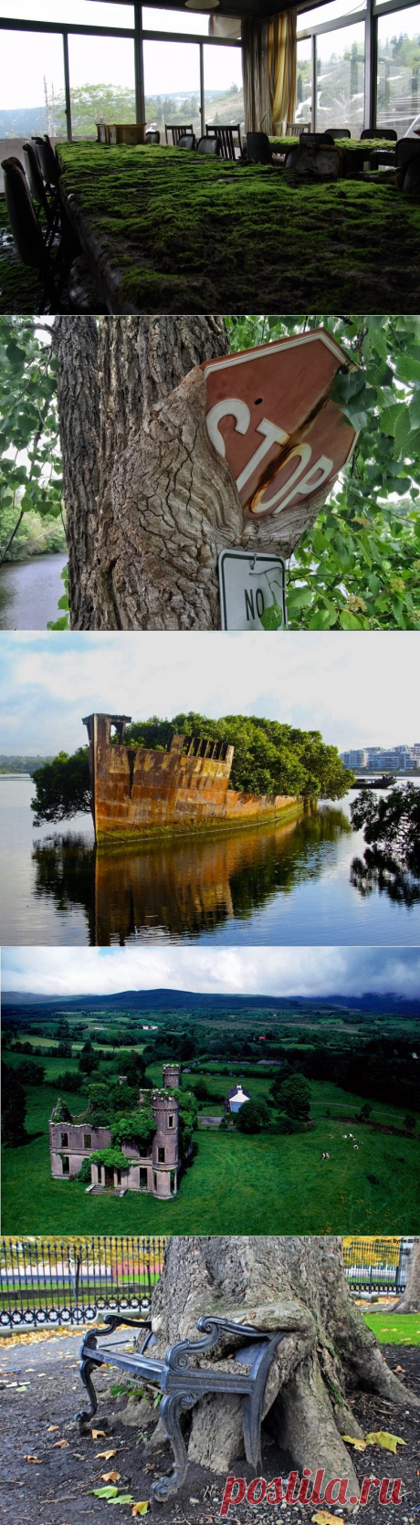 Когда природа залечивает раны, нанесенные человечеством / Всё самое лучшее из интернета