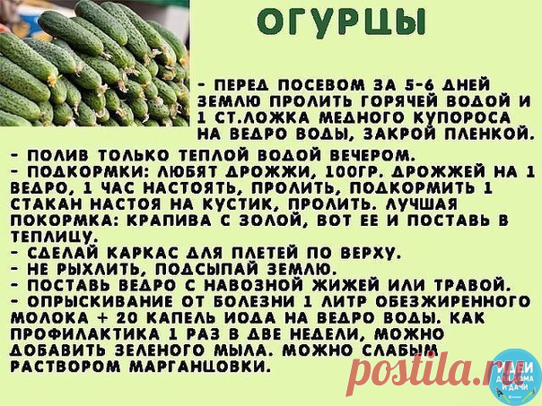 Полезная шпаргалочка перед началом сезона