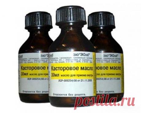 Забытая касторка / Домоседы