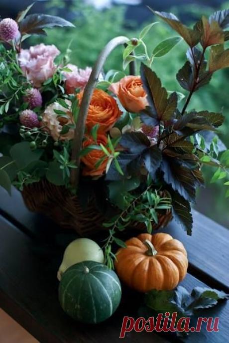 флористика