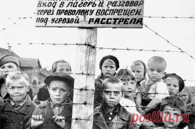 Между голодом и наковальней. Обнародовано свидетельство геноцида народов СССР. Одно из самых важных свидетельств геноцида народов СССР старались не обсуждать публично.