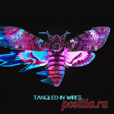 Sun's Spectrum - Tangled In Wires (Single) (2025) 320kbps / FLAC