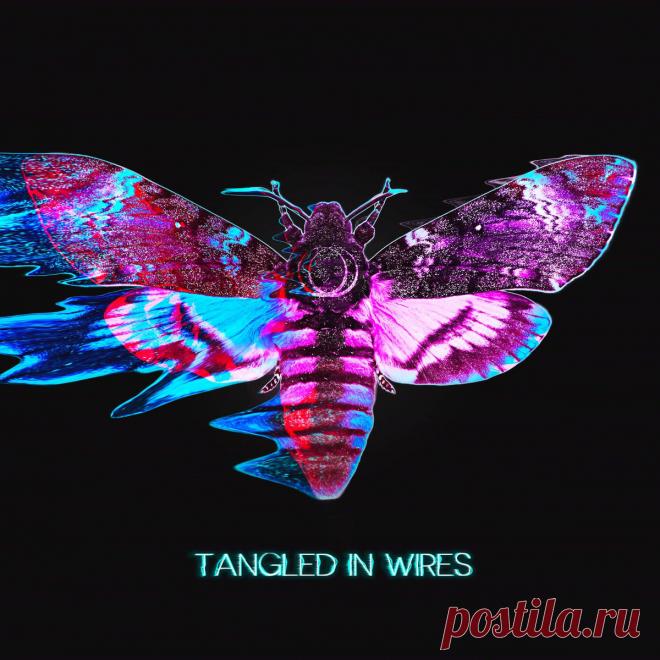 Sun's Spectrum - Tangled In Wires (Single) (2025) 320kbps / FLAC