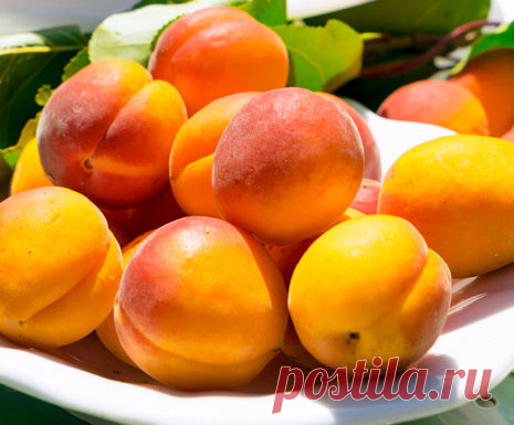 Абрикос
Абрикос (Prunus armeniaca) — это плод абрикосового дерева.

Состав
Мякоть свежих абрикосов содержит от 4,7 до 27 % сахаров (в зрелых плодах преобладает сахароза), небольшое количество декстрина, инулина и крахмала. Содержание клетчатки — 0,8 %, органических кислот — 1,3 %. В свежих плодах абрикоса содержится около 305 мг солей калия (в сушёных — в 5—6 раз больше).
Показать полностью…