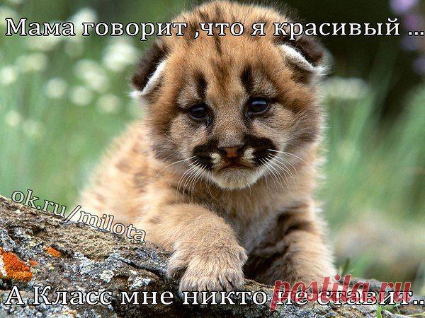 Интересные новости