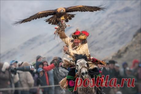 «Торжество победы» Монголия, фестиваль охотников с беркутами. Автор фото – Влад Соколовский.