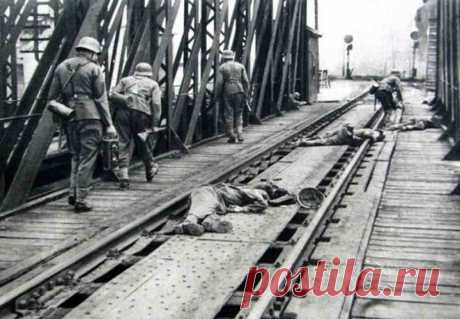Вся Европа воевала против СССР: foto_history — ЖЖ
