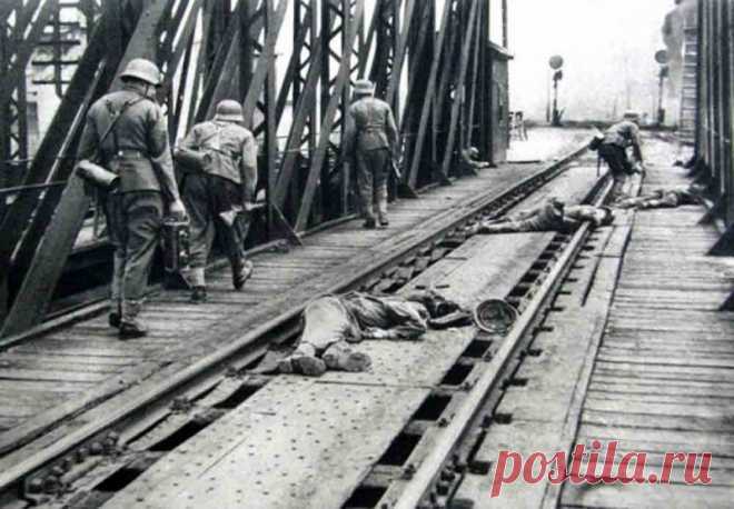 Вся Европа воевала против СССР: foto_history — ЖЖ